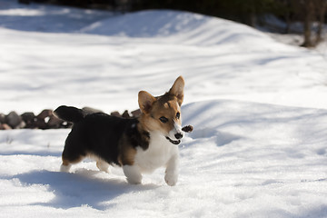 Image showing playing with a cone