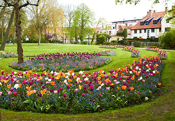 Image showing large flower beds full of colourful flowers with houses at background