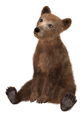 Image showing Little Brown Bear