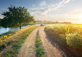 Image showing Sunflowers and river