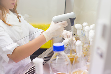 Image showing Life scientist researching in the laboratory.