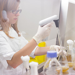 Image showing Life scientist researching in the laboratory.