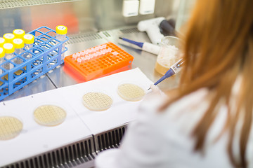 Image showing Life scientist researching in the laboratory.