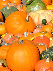 Image showing Pumpkin background