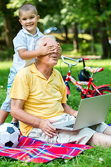 Image showing grandfather and child using laptop