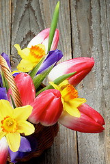 Image showing Easter Theme