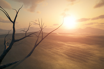 Image showing desert sunset