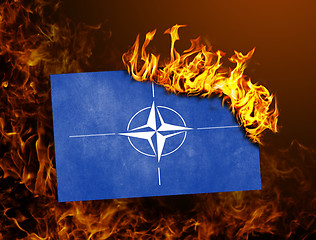 Image showing Flag burning - NATO