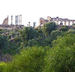 Image showing volubilis in morocco africa the old roman deteriorated monument 