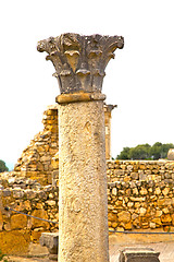 Image showing volubilis in morocco africa   deteriorated monument and site