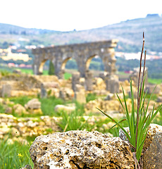 Image showing volubilis in morocco africa the old roman deteriorated monument 