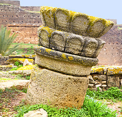 Image showing chellah  in morocco africa the old roman deteriorated monument a