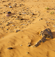 Image showing  old fossil in  the desert of morocco sahara and rock  stone sky