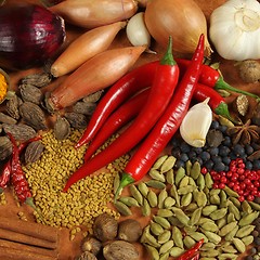 Image showing Spices and herbs