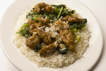 Image showing Mongolian beef with rice