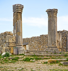 Image showing volubilis in morocco africa the old roman deteriorated monument 