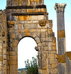 Image showing volubilis in morocco africa the old roman deteriorated monument 