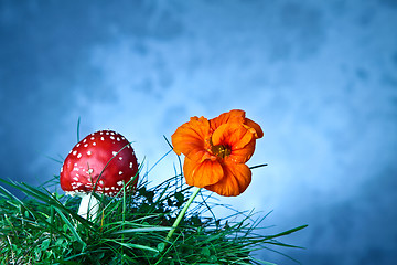 Image showing Mushroom and flower