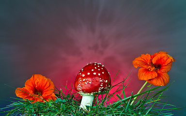 Image showing Mushroom and flower