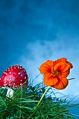 Image showing Mushroom and flower