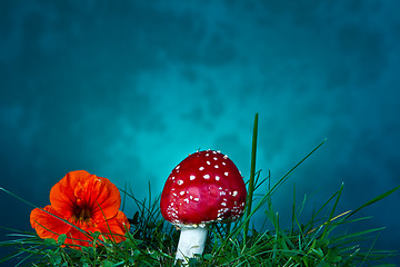 Image showing Mushroom and flower