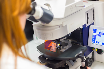 Image showing Helth care professional microscoping.