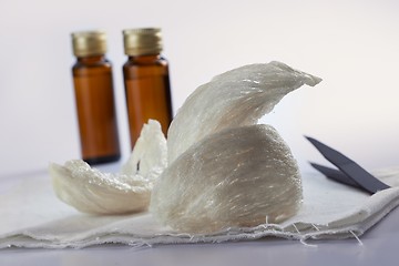 Image showing Edible birdnest with essence bottle and pincer