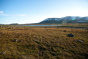 Image showing Mountain plateau Valdresflye, Jotunheimen, Norway