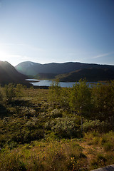 Image showing Mountain plateau Valdresflye, Jotunheimen, Norway