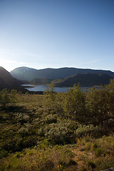 Image showing Mountain plateau Valdresflye, Jotunheimen, Norway