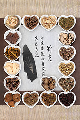 Image showing Acupuncture Medicine