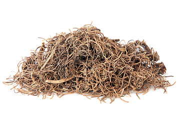 Image showing Cynanchum Root
