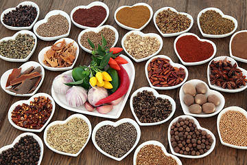 Image showing Herb and Spice Food Sampler