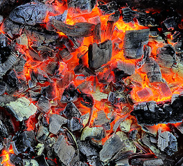 Image showing Live coals