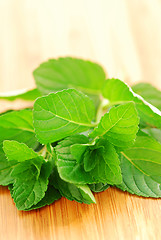 Image showing Fresh mint