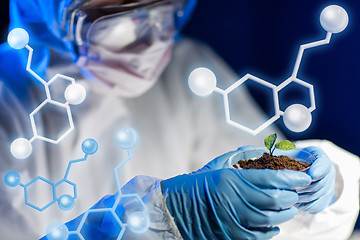 Image showing close up of scientist with plant and soil in lab