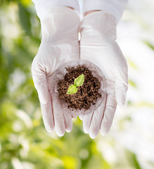 Image showing close up of scientist hands with plant and soil