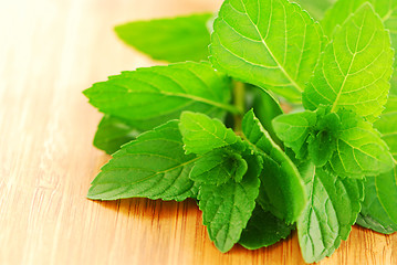 Image showing Fresh mint