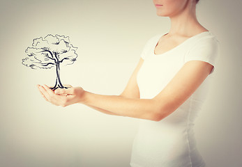 Image showing woman with small tree in her hands