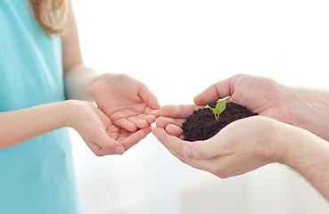 Image showing close up of father and girl hands holding sprout