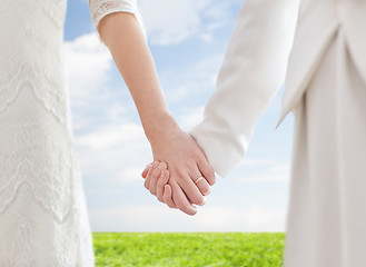 Image showing close up of happy lesbian couple holding hands