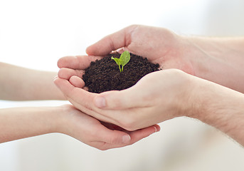 Image showing close up of father and girl hands holding sprout