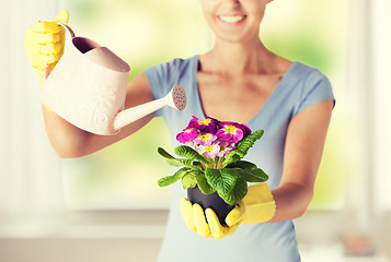 Image showing woman holding pot with flower