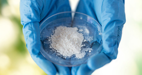 Image showing close up of scientist hands holding petri dish