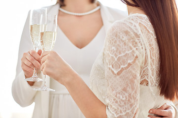 Image showing close up of lesbian couple with champagne glasses