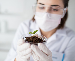 Image showing close up of scientist with plant and soil in lab