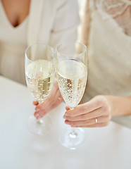 Image showing close up of lesbian couple with champagne glasses