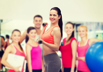 Image showing young sporty woman with light dumbbells