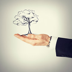 Image showing man with small tree in his hand