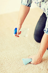 Image showing close up of male cleaning stain on carpet